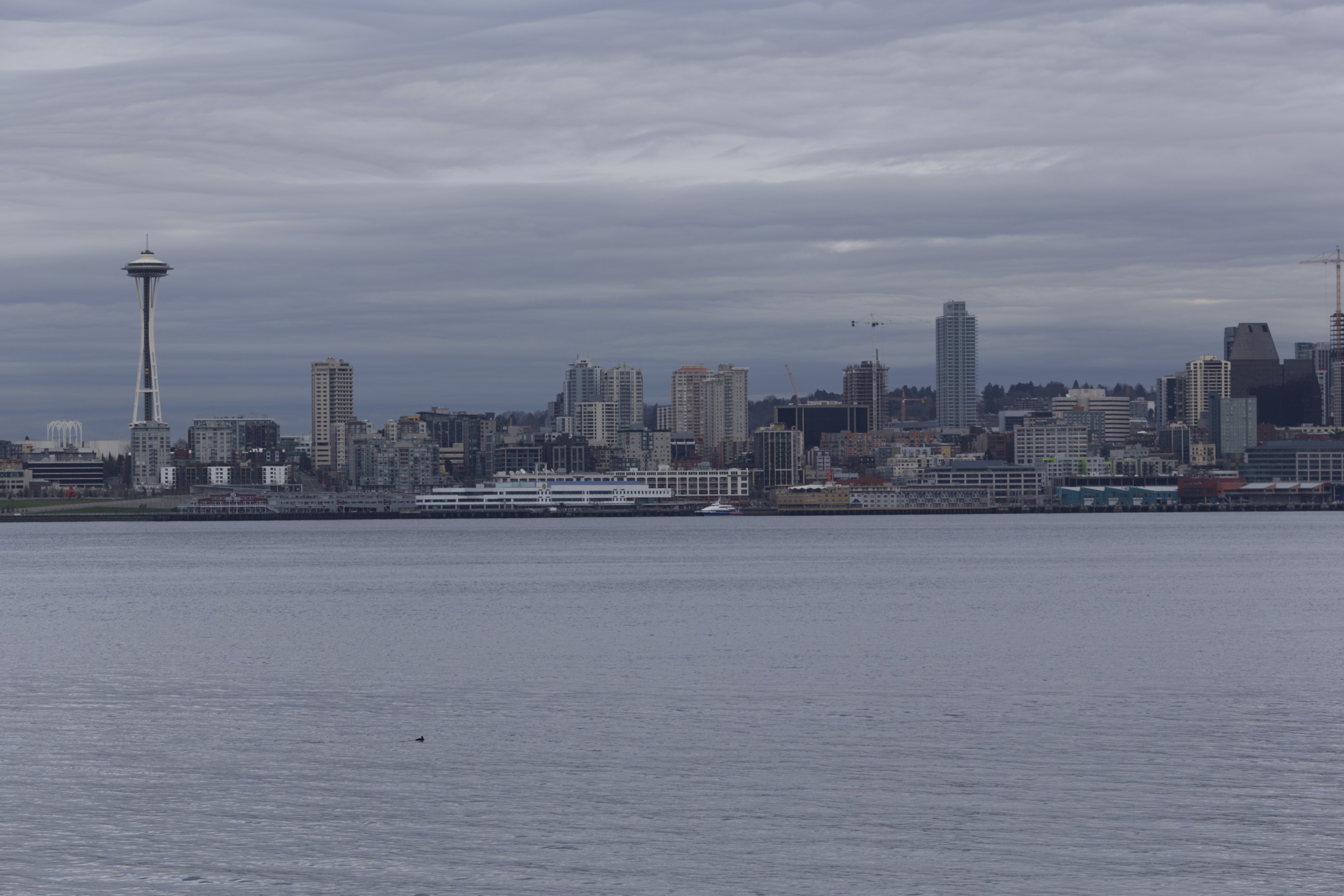 Seattle 02-12-2015 - 0073