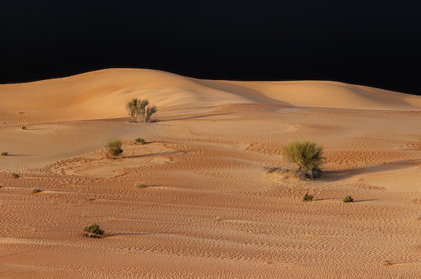 Al momento stai visualizzando Al Maha Desert e panoramica “notturna”